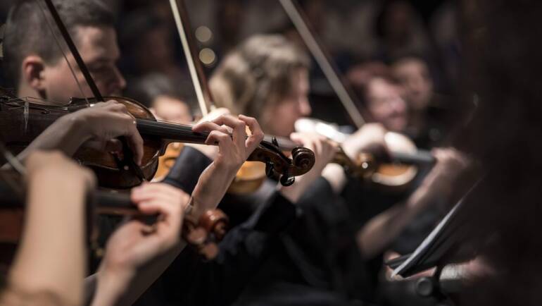 Violina